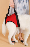 Dog Pet Assist Belt