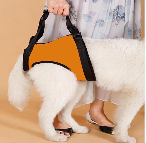 Dog Pet Assist Belt
