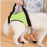 Dog Pet Assist Belt