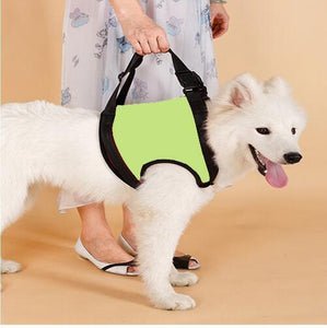 Dog Pet Assist Belt