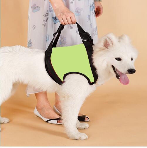 Dog Pet Assist Belt