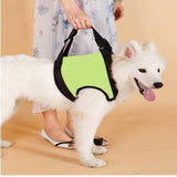 Dog Pet Assist Belt