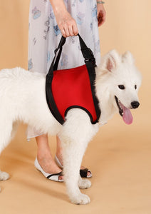 Dog Pet Assist Belt