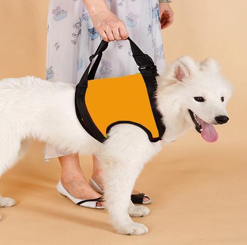 Dog Pet Assist Belt