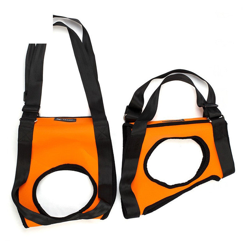 Dog Pet Assist Belt