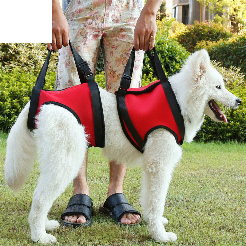 Dog Pet Assist Belt