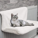 Iron Frame Cat Bed 