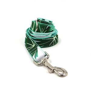 Pet Collar Traction Set Dog Collar Traction