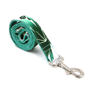 Pet Collar Traction Set Dog Collar Traction