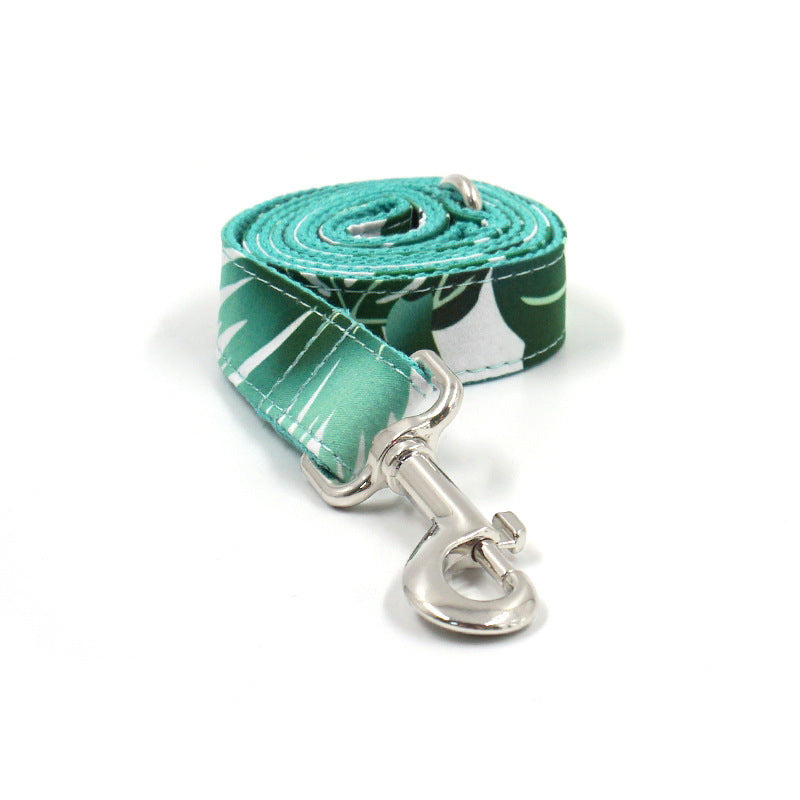Pet Collar Traction Set Dog Collar Traction