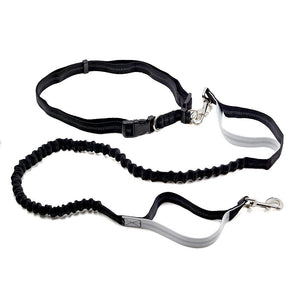 Elastic Belt Pet Dog