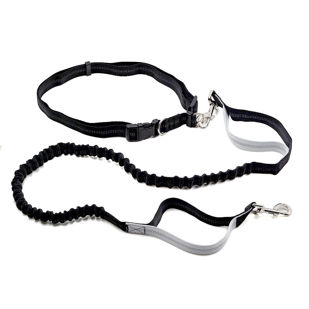Elastic Belt Pet Dog