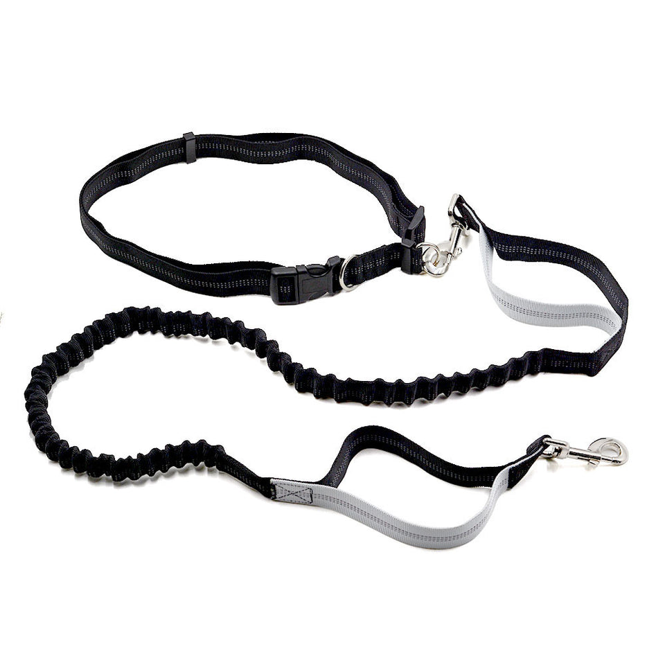 Elastic Belt Pet Dog