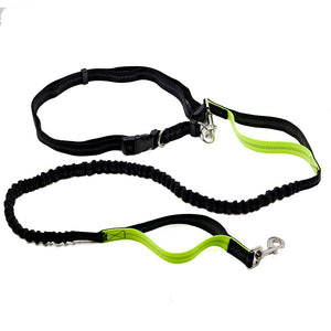Elastic Belt Pet Dog