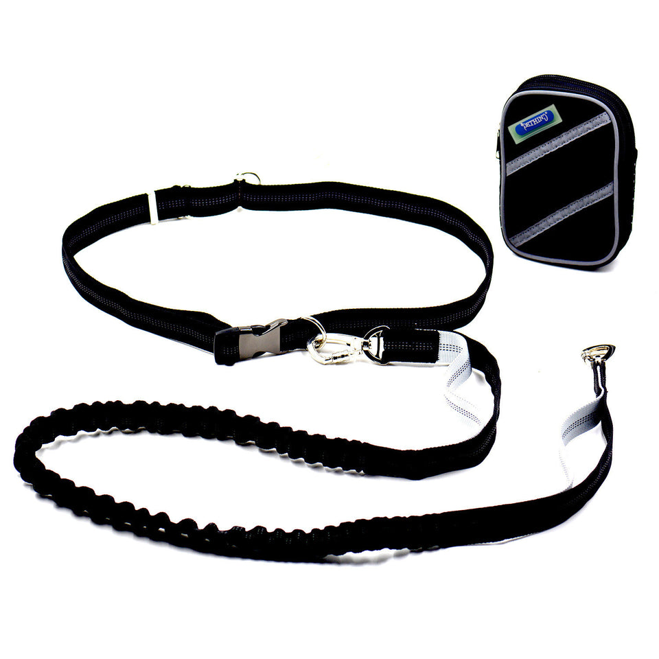 Elastic Belt Pet Dog