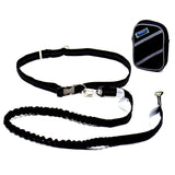 Elastic Belt Pet Dog