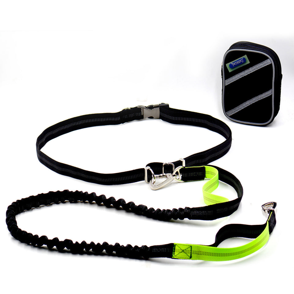 Elastic Belt Pet Dog
