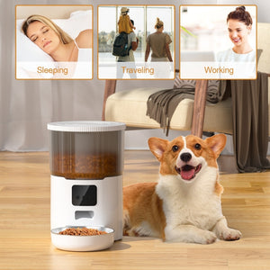 Pet Cat Dog Stainless Steel Feeder