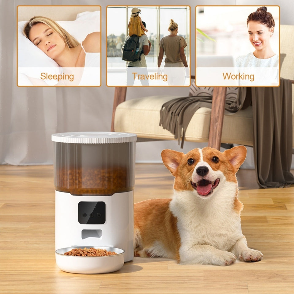 Pet Cat Dog Stainless Steel Feeder