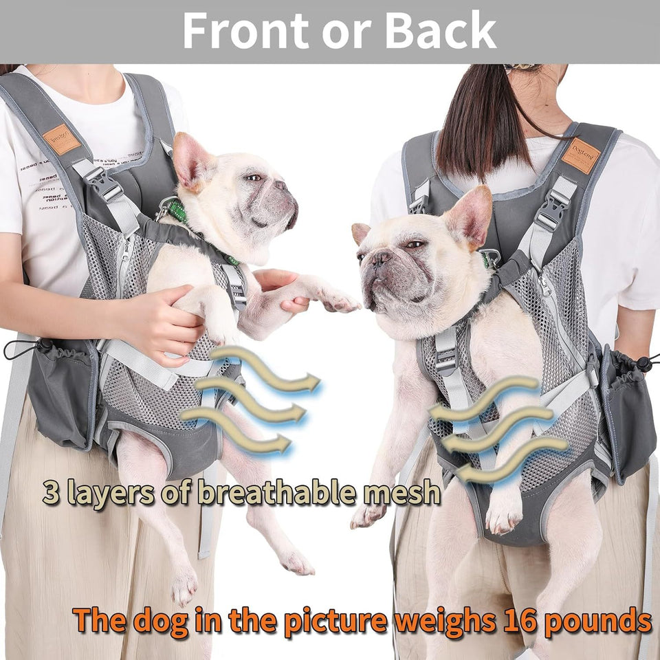 Portable Breathable Cat Pet Carrier Backpack