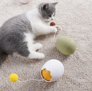 Funny cat artifact