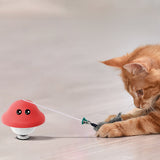 Cat Wand Suction 