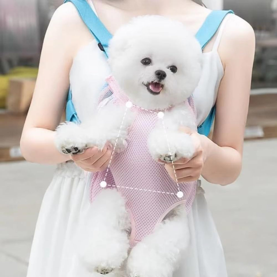 Furry Pawsy Carrier 