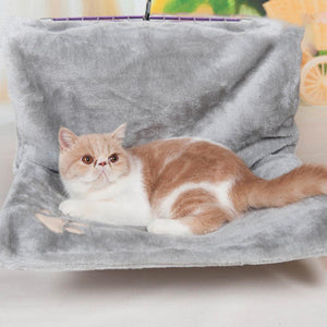 New Pumpkin Cat Bed Cat Beds
