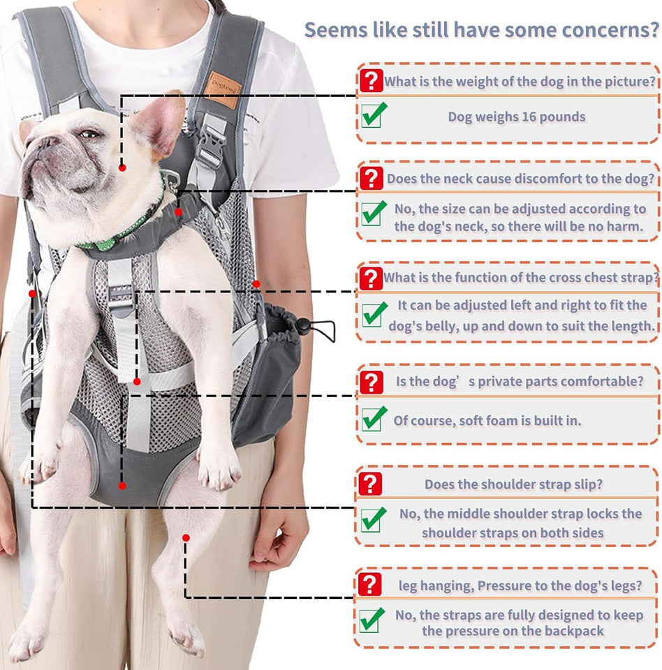 Portable Breathable Cat Pet Carrier Backpack