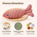 3 Pcs Catnip Toys Fish Cat Toys 