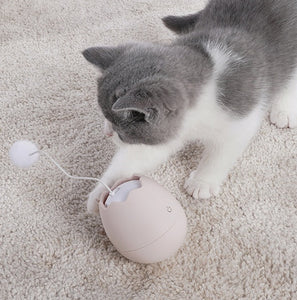 Funny cat artifact