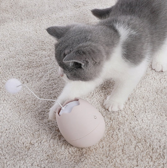 Funny cat artifact