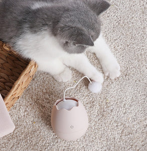 Funny cat artifact