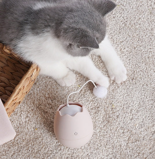 Funny cat artifact