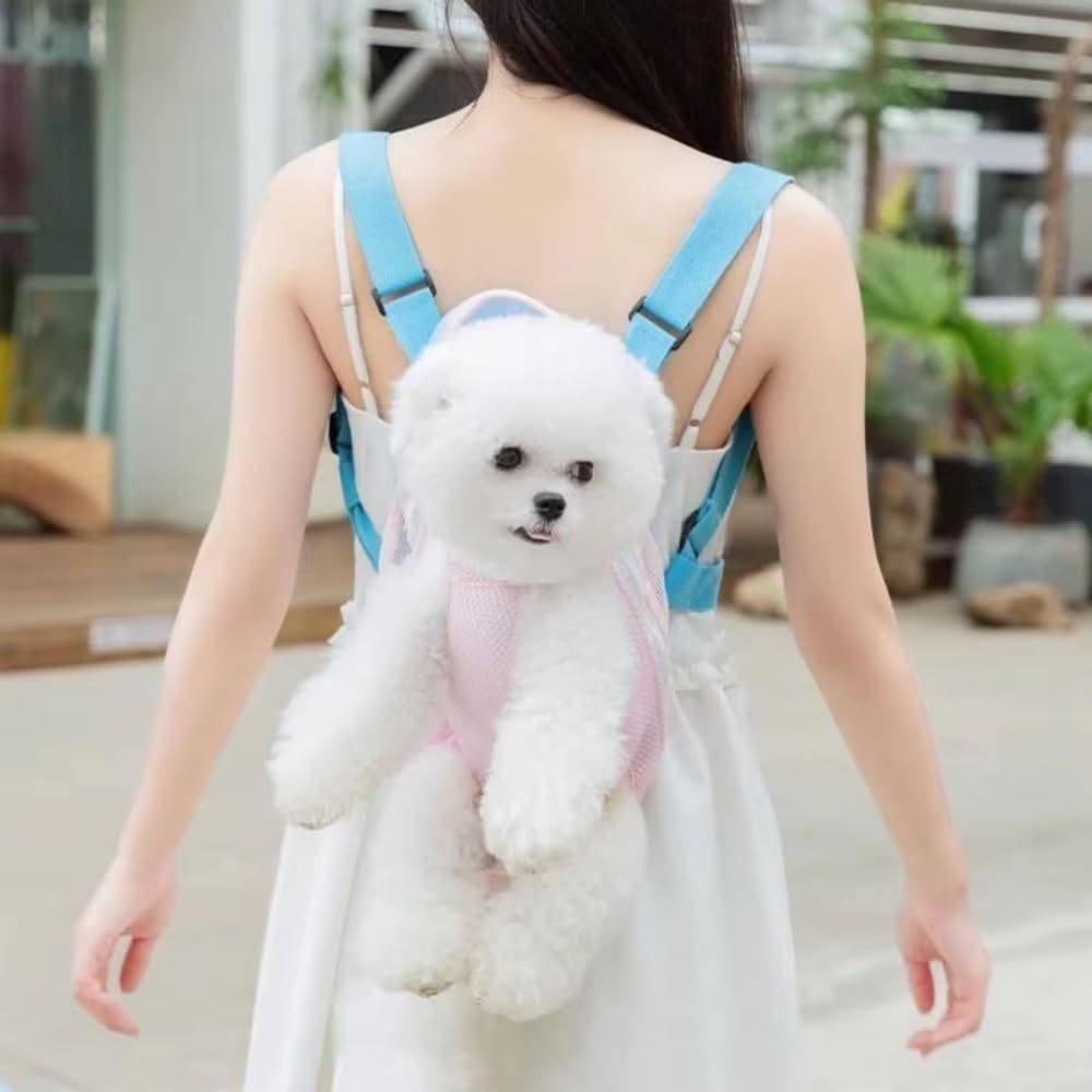Furry Pawsy Carrier 