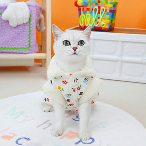 Winter Cat Clothing