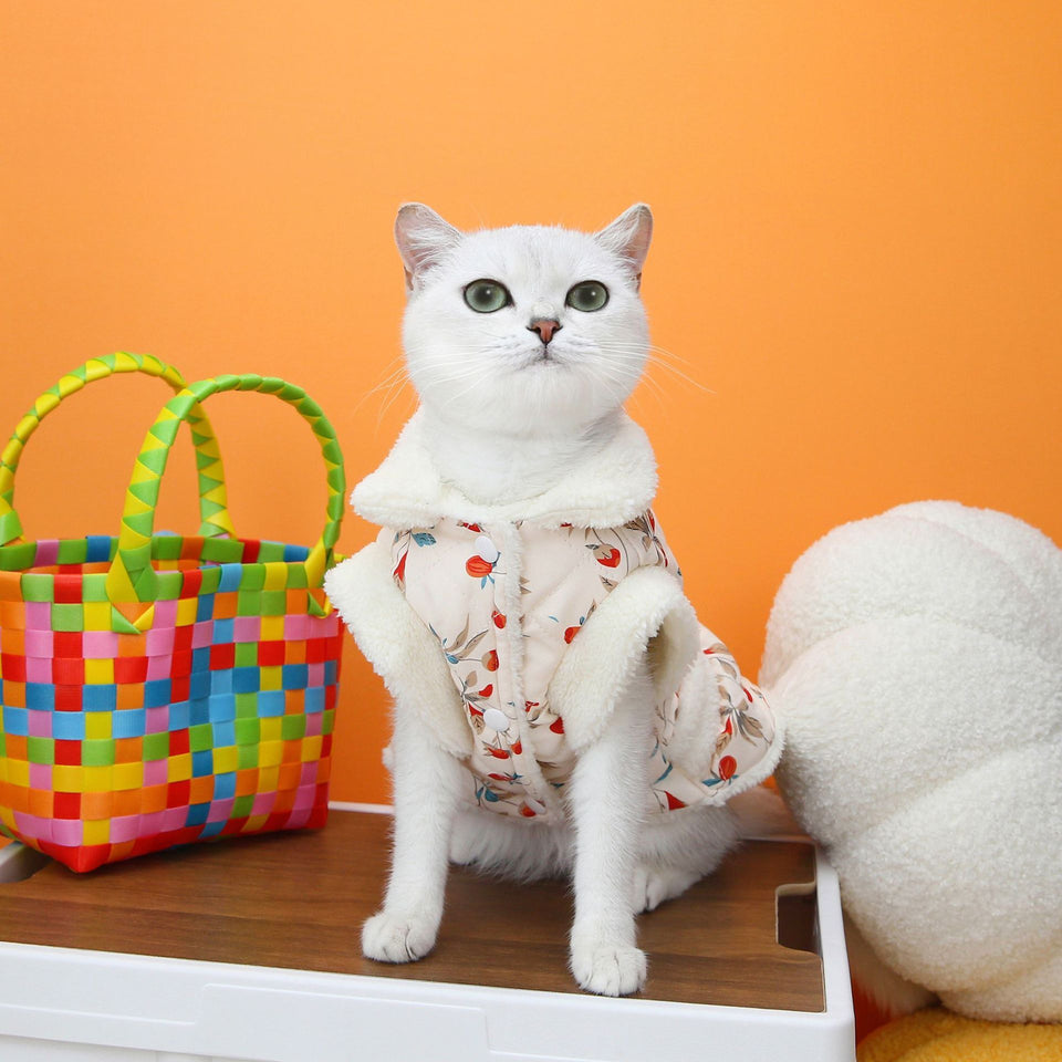 Winter Cat Clothing