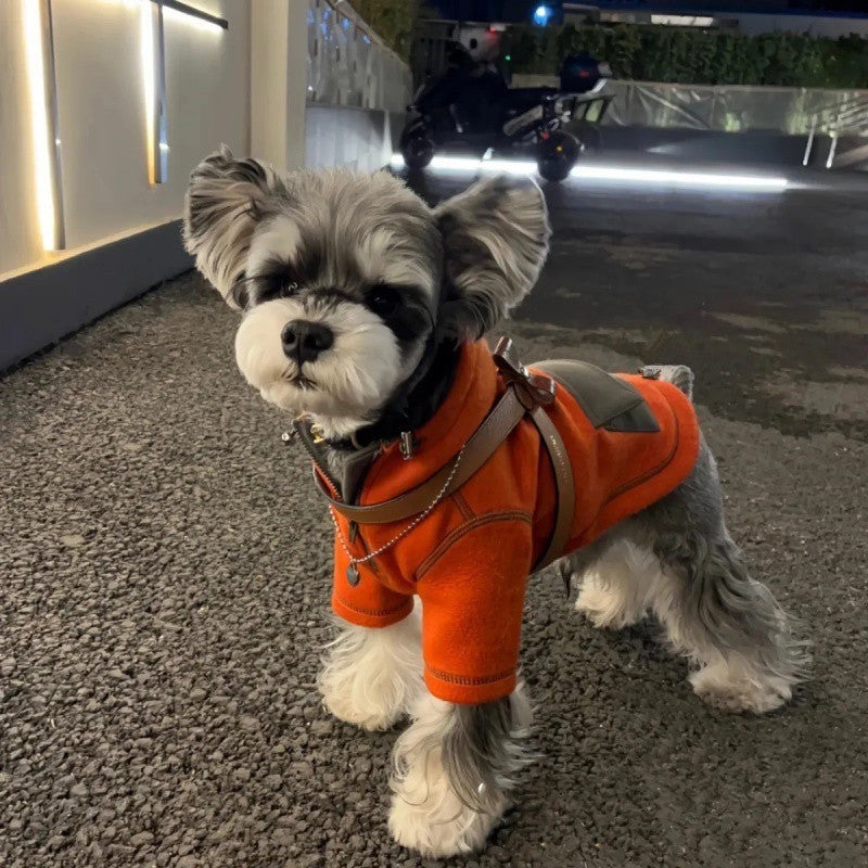 Pet Small Dog Autumn Clothing Two Feet Apparel Hooded Sweater 