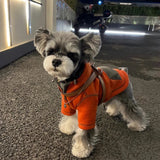 Pet Small Dog Autumn Clothing Two Feet Apparel Hooded Sweater 