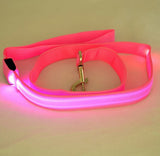 LED Luminous Traction Belt Dog Leash