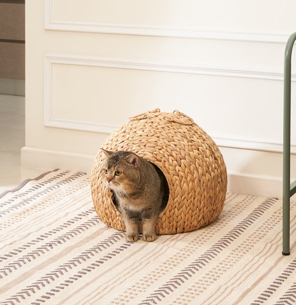 Four seasons universal cat bed cat house