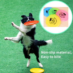 Pet Supplies Dog  