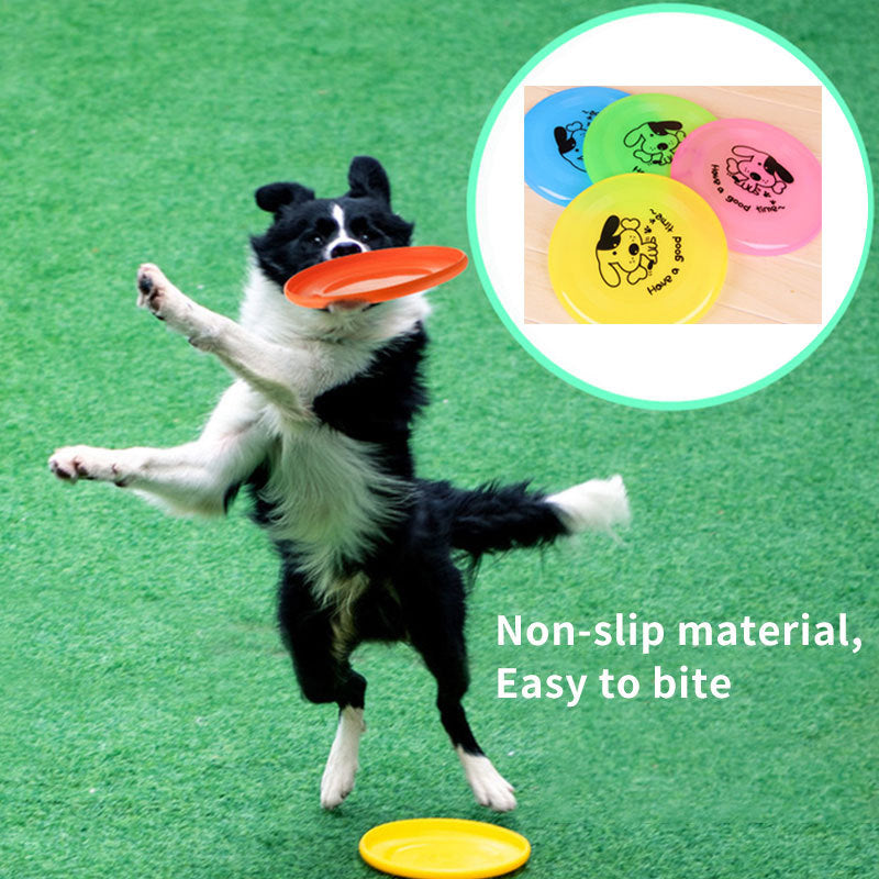 Pet Supplies Dog  