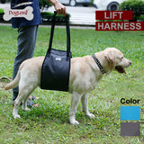 Dog Leg Injury Protection Pet Walking Belt