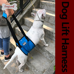 Dog Leg Injury Protection Pet Walking Belt
